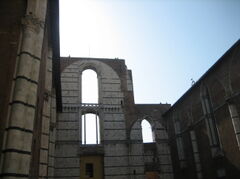 IMG_4939.jpg