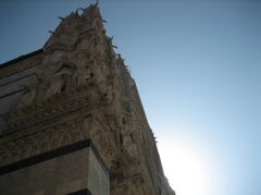 IMG_4942.jpg