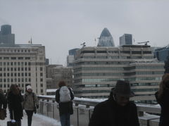 IMG_4462.jpg